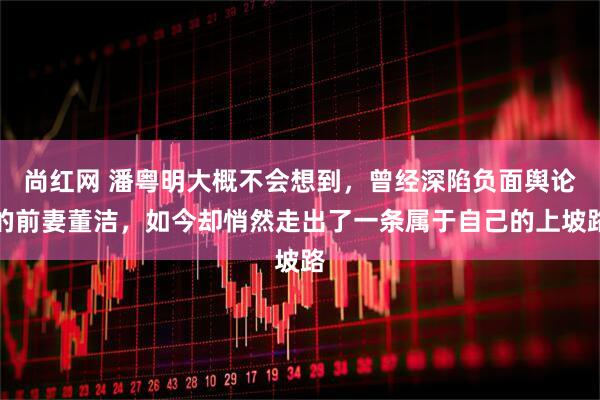 尚红网 潘粤明大概不会想到，曾经深陷负面舆论的前妻董洁，如今却悄然走出了一条属于自己的上坡路